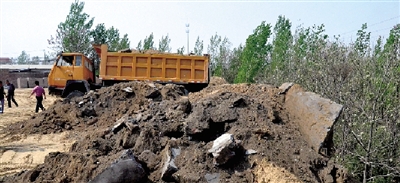 垃圾將生態(tài)涵養(yǎng)林給埋住了。