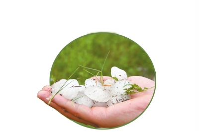 冰雹化了一些,還有這么大。