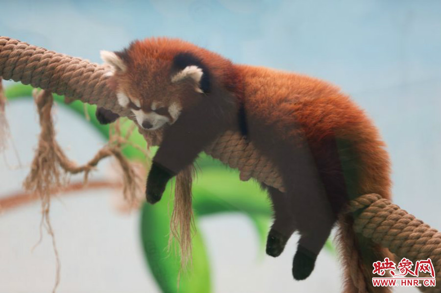 “休息，休息一下?！? width=