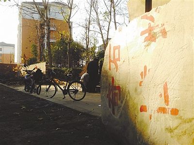 昨日，“上海奇石盆景博物館”原址上，已矗立起小區(qū)樓盤，而刻著博物館名的巨石，廢棄在一旁。本版圖片/新京報記者 張永生 攝