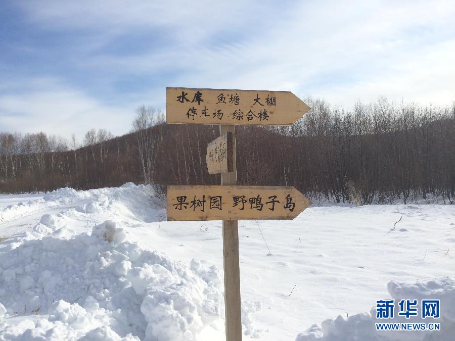 穗豐園里的標(biāo)識牌（2013年12月8日攝）。新華社記者王子辰攝