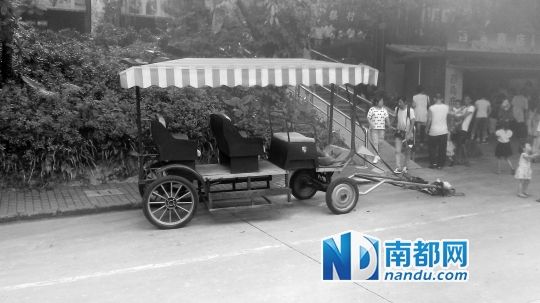 園方則稱解剖后發(fā)現(xiàn)馬死于心臟衰竭，“與累無(wú)關(guān)”。