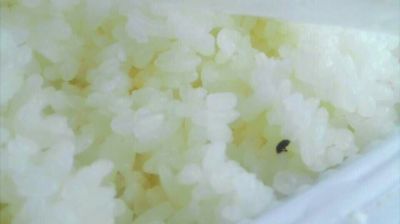 陸先生在高鐵上購買的“梅菜扣肉套餐”盒飯。盒飯中的米飯上有芝麻狀的黑色小蟲。