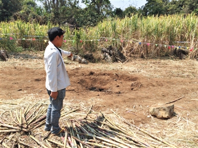 昨日，在大水桑樹村，村民向記者展示13日造成5死8傷的炸彈事件彈坑。