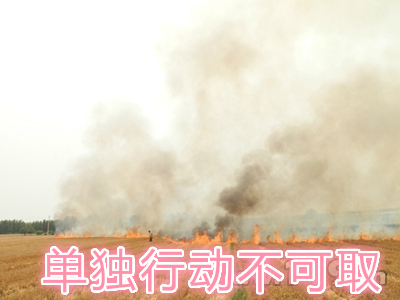 不要單獨一個人亂沖亂打：單獨行動被煙氣沖昏倒地，無人發(fā)覺被燒；