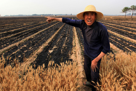 河南省滑縣、內(nèi)黃縣麥田著火，麥壟套種的花生、玉米苗也被烤焦，群眾損失慘重