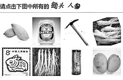 可以說(shuō)人參的外形是“千變?nèi)f化”