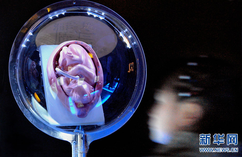 一名小學(xué)生在鄭州科技館內(nèi)參觀介紹遺傳、生育等知識的“奇幻生命之旅”展覽（2007年2月18日攝）。