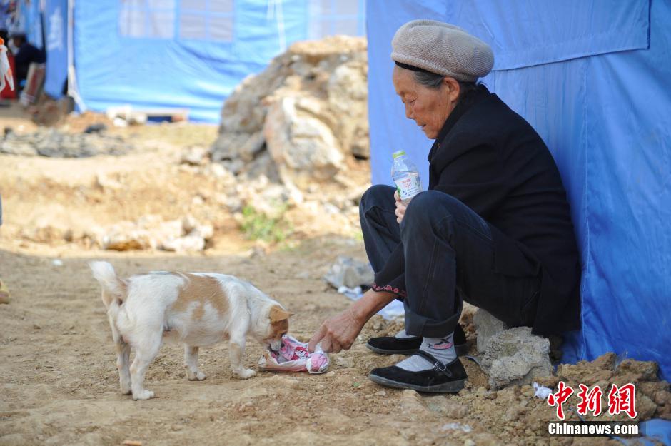 8月6日，一名老人將剛領(lǐng)到的礦泉水分給小狗。