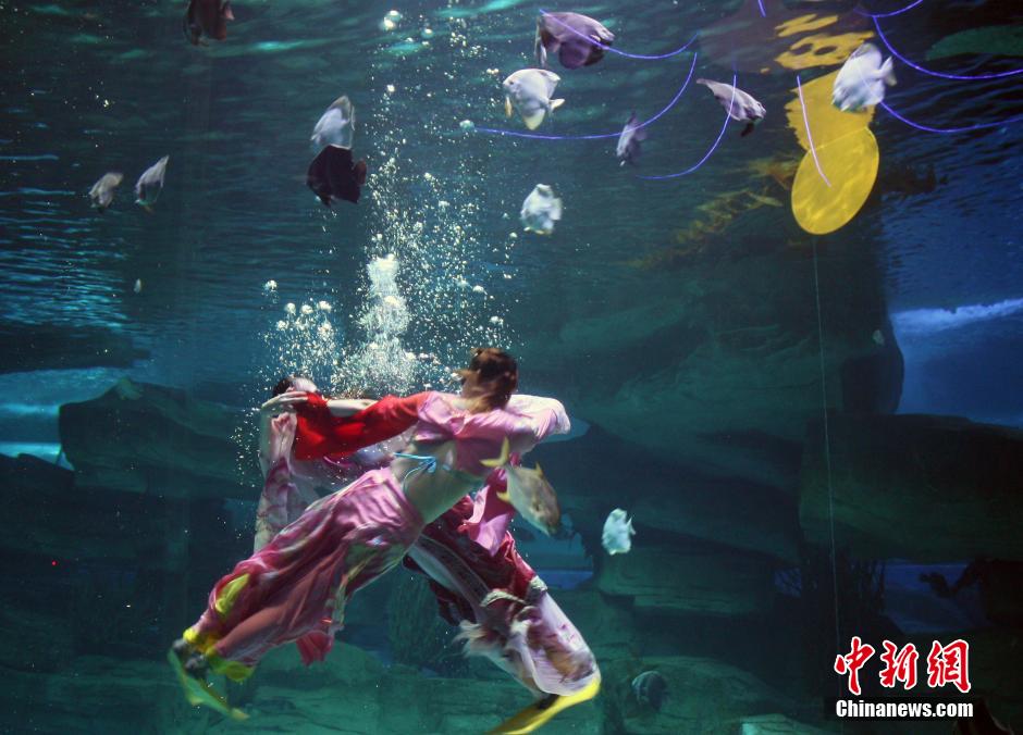 9月7日，在中秋節(jié)到來(lái)前一天，山東泉城海洋極地世界為游客帶來(lái)“嫦娥水中奔月”表演。
