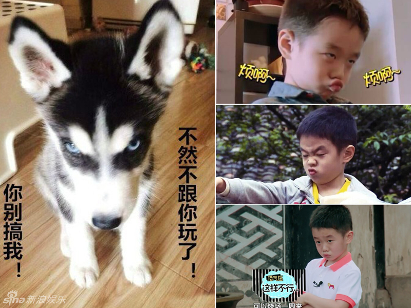 不小心就撞臉了！盤(pán)點(diǎn)動(dòng)物界的明星相