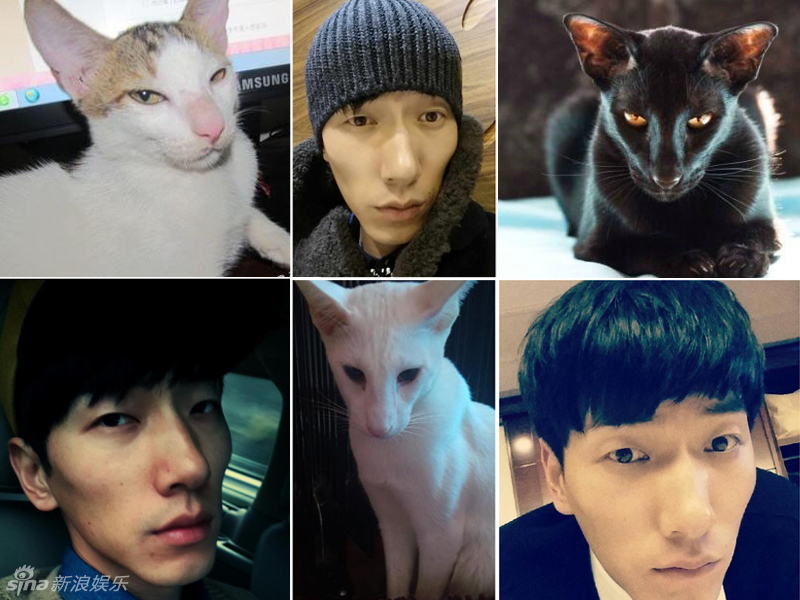 不小心就撞臉了！盤(pán)點(diǎn)動(dòng)物界的明星相