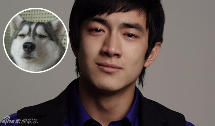 不小心就撞臉了！盤(pán)點(diǎn)動(dòng)物界的明星相