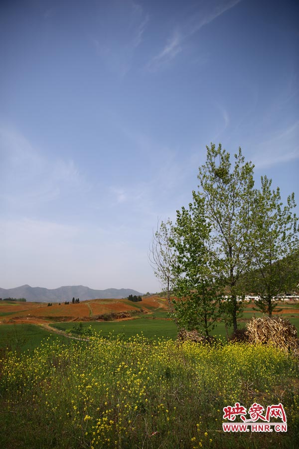 庫區(qū)的藍天、白云、綠樹、黃花給人清新的享受