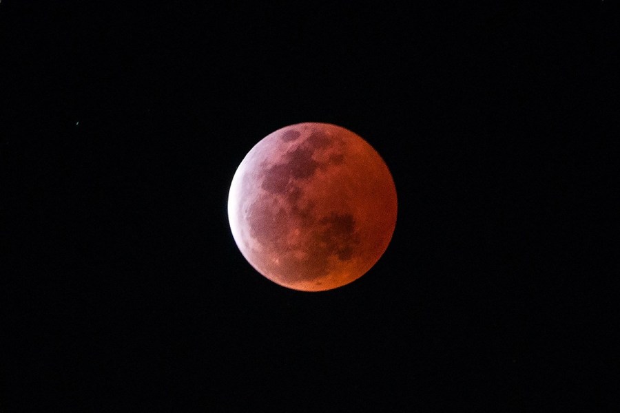 4月4日，福州上空出現(xiàn)紅月亮。楊婀娜/CFP