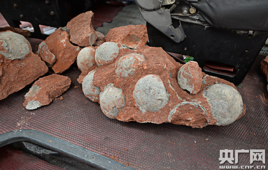 其中完整的19枚，都是直徑約13厘米的“大個子”。