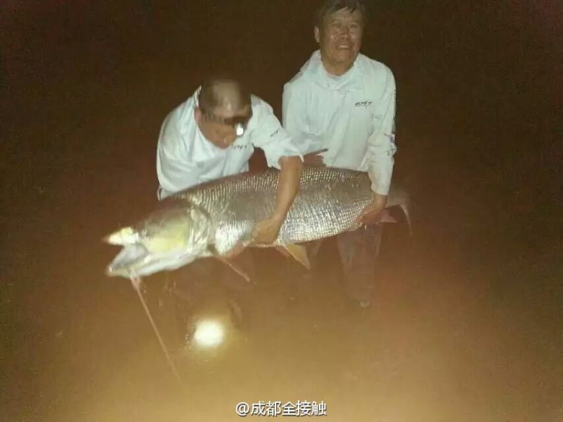 圖為大魚需要兩個(gè)人抱起。