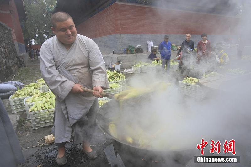 少林禪耕農(nóng)場(chǎng)迎來秋收 免費(fèi)煮玉米送游客