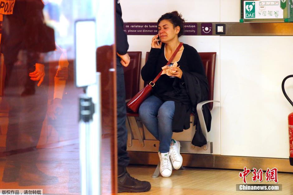 載66人埃航失聯(lián)客機墜毀 同線航班當(dāng)晚照常起飛 載66人埃航失聯(lián)客機墜毀 同線航班當(dāng)晚照常起飛