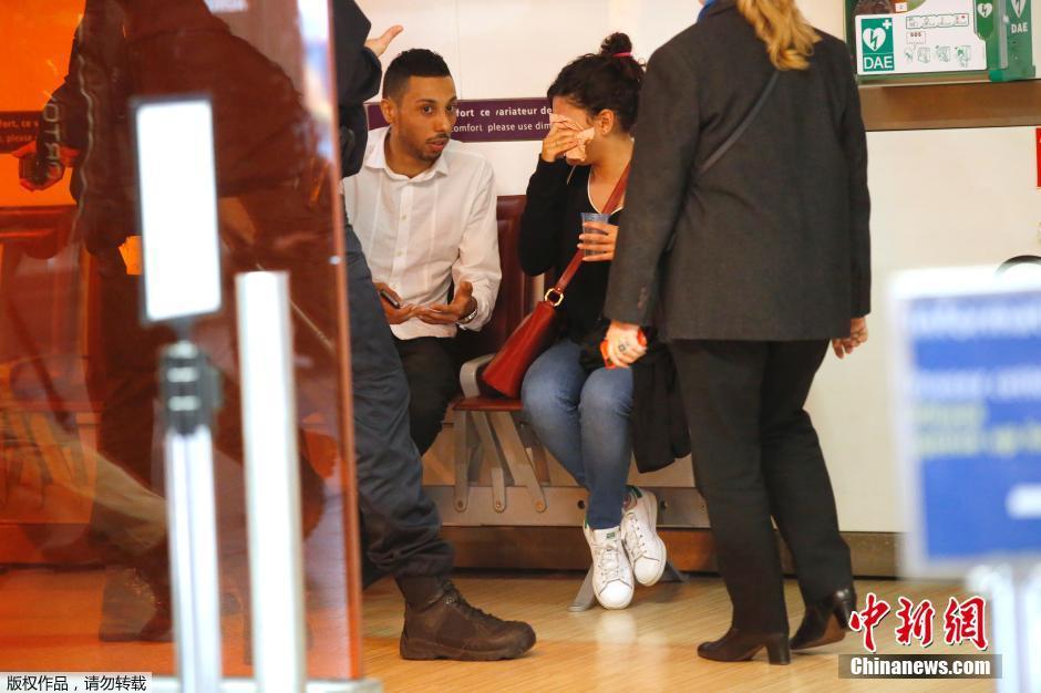 載66人埃航失聯(lián)客機墜毀 同線航班當(dāng)晚照常起飛 載66人埃航失聯(lián)客機墜毀 同線航班當(dāng)晚照常起飛