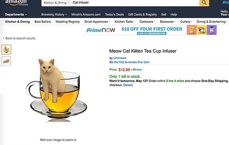 喵星人奇葩坐姿遭惡搞 網(wǎng)友腦洞大開 喵星人奇葩坐姿遭惡搞 網(wǎng)友腦洞大開