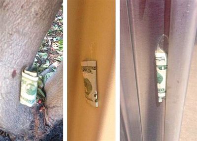 “隱藏的鈔票”會被神秘人藏在公園、廁所等“奇怪的地方”。