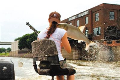 亞洲鯉魚突然躍出水面，對游客“發(fā)動襲擊”。