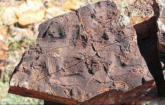 西澳發(fā)現(xiàn)地球古老生命：散發(fā)臭雞蛋味道的細菌