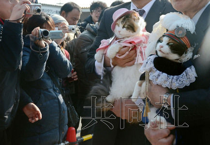 圖為粉絲們簇?fù)碇鞍⒂瘛闭鹃L(zhǎng)（右）。左側(cè)為其部下“二玉”。