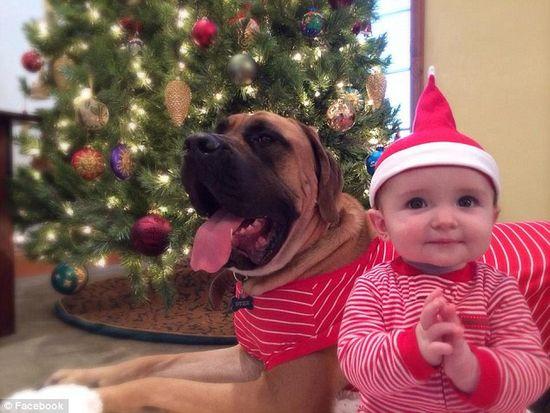 圖為美國2歲大的寵物犬與主人9個(gè)月大的女嬰。圖片來源：臉譜網(wǎng)站（Facebook）。