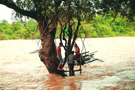 蓋屋、種菜，“從沒這樣快樂”