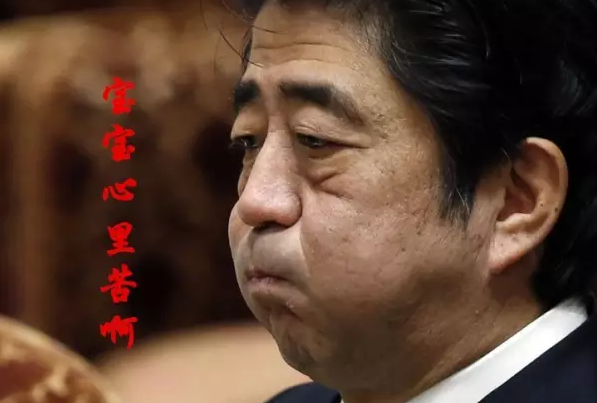 這種看安倍“熱鬧”的事兒，環(huán)環(huán)絕不私藏，一定雨露均沾!