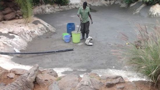 穆克的養(yǎng)殖場，鱷視眈眈下的工作人員。