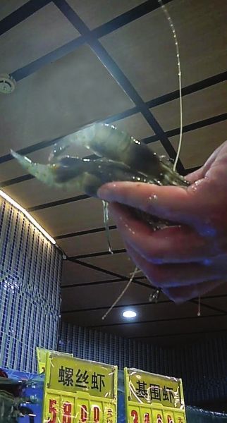 媒體臥底超市 質(zhì)檢員:是醉蝦 不是死蝦(圖) 媒體臥底超市 質(zhì)檢員:是醉蝦 不是死蝦(圖)