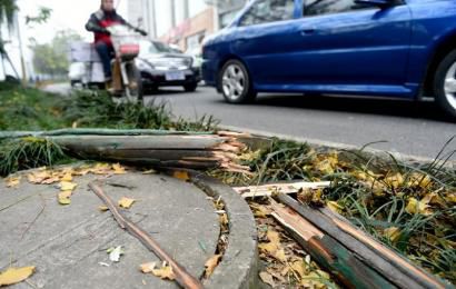 事發(fā)現(xiàn)場(chǎng)，嫌疑車(chē)輛撞壞的木樁。