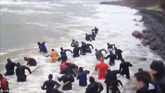 一場暴雨后，俄羅斯加里寧格勒Pionersky鎮(zhèn)，數(shù)十人潛入海水中搜尋琥珀。