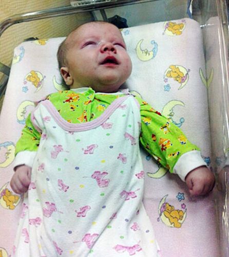 居民認(rèn)為，如果沒(méi)有這只貓的照料，寶寶可能沒(méi)有機(jī)會(huì)活下來(lái)。