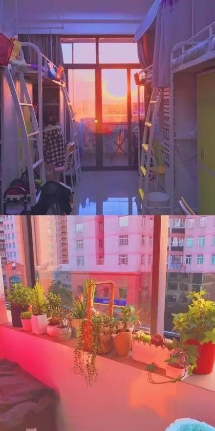 這個(gè)學(xué)校的男生宿舍火了！女同學(xué)都喊著要嫁