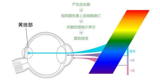 真能亮瞎眼？如何減少手機(jī)對(duì)眼睛的傷害