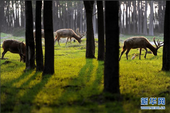 青奧會指定接待景區(qū) 五大特色景區(qū)開啟青奧之旅 青奧會指定接待景區(qū) 五大特色景區(qū)開啟青奧之旅