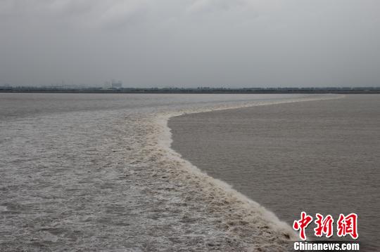 近四年來最大的農(nóng)歷八月十八錢塘潮如約而至抵達浙江省海寧鹽官 近四年來最大的農(nóng)歷八月十八錢塘潮如約而至抵達浙江省海寧鹽官