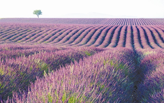 戀上花花世界 到嵖岈山趕秋潮 戀上花花世界 到嵖岈山趕秋潮