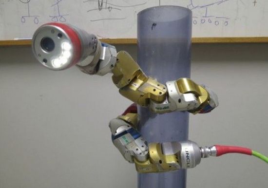 美高校研制新型機器蛇 可潛伏在樹上執(zhí)行偵察任務