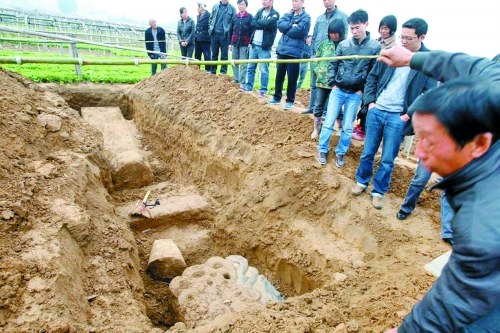 碑帽、赑屃、碑座、碑身依次排開