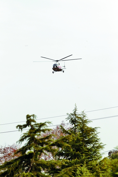 輕拋一點(diǎn)入云去，利眼“鐵鷹”掠地來