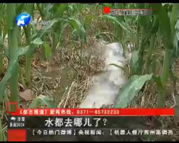 水都去哪了？