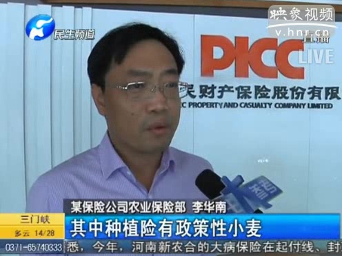 冰雹惹禍 損失能索賠嗎？