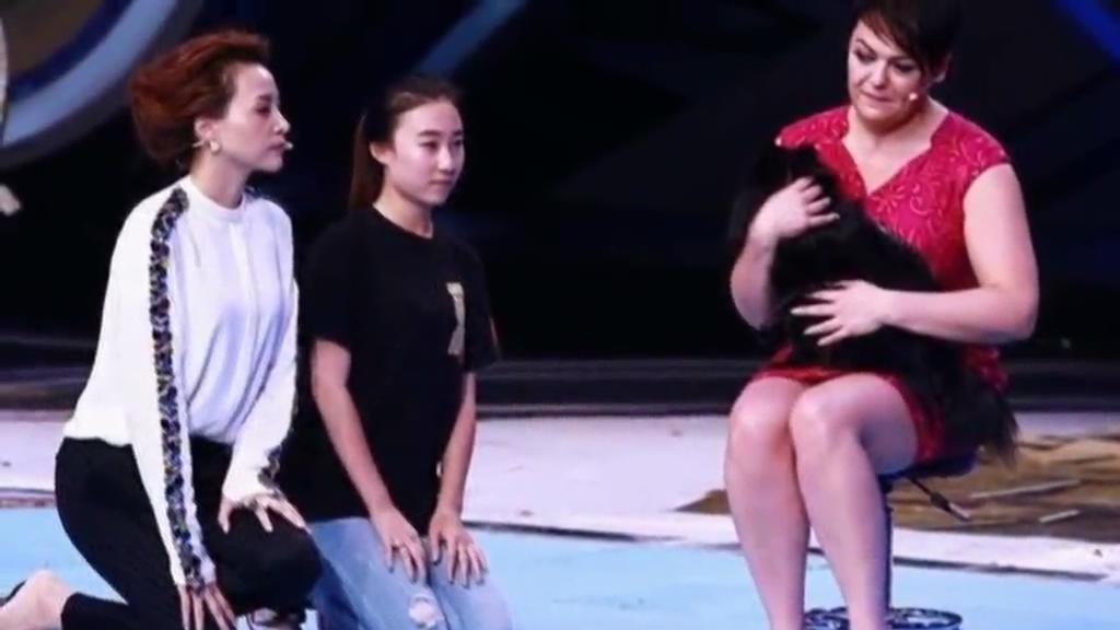 又當(dāng)托？ 董卿節(jié)目現(xiàn)場(chǎng)當(dāng)眾對(duì)狗下跪稱(chēng)被催眠